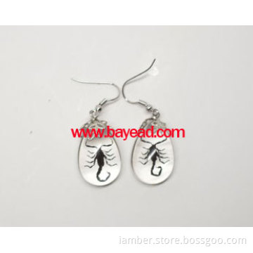 real insect earring,amber earring,bug earring